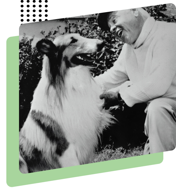 shower2pet la nostra storia